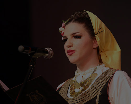 Godisnji koncert 2017.god